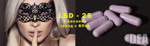 индика Снежногорск