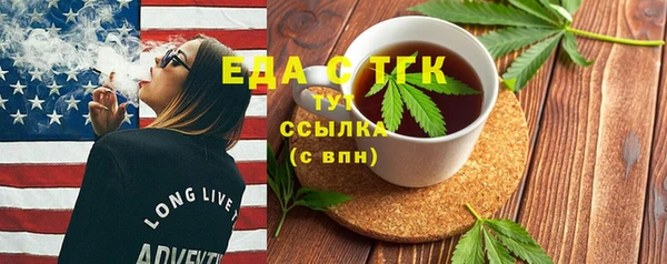 индика Снежногорск