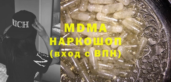 индика Снежногорск