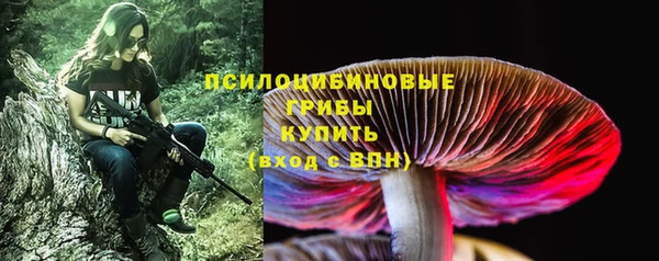 прущая мука Бугульма